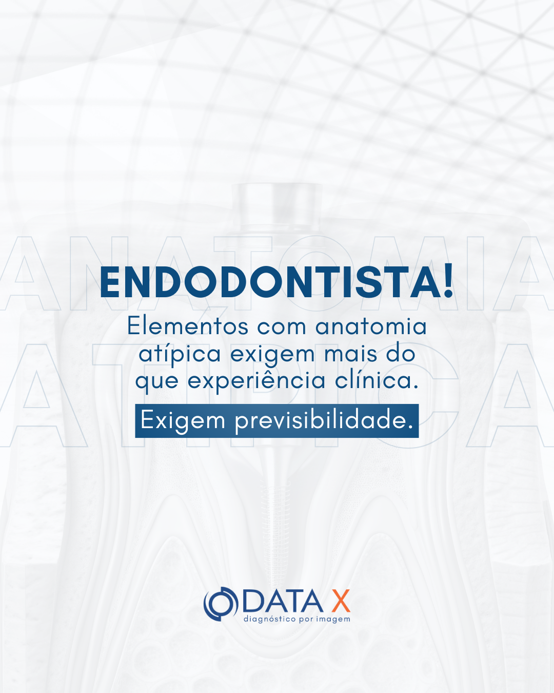 elementos-que-exigem-previsibilidade